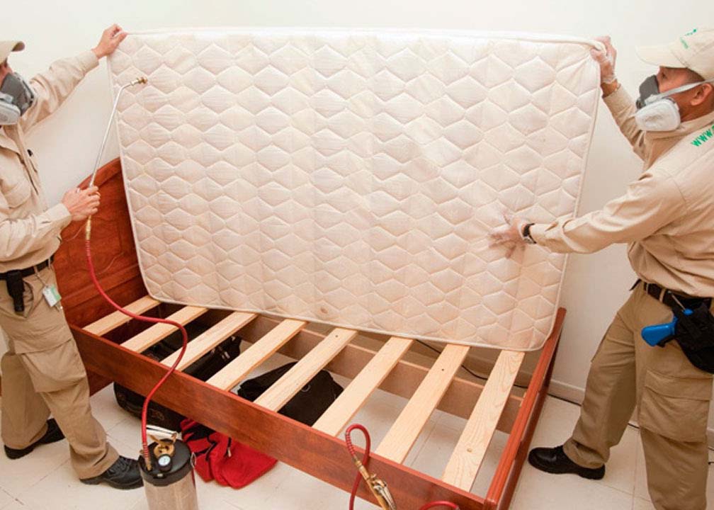 Bed Bug Control (4)