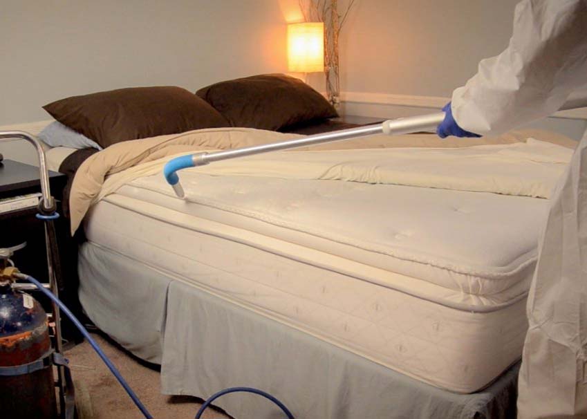 Bed Bug Control (5)